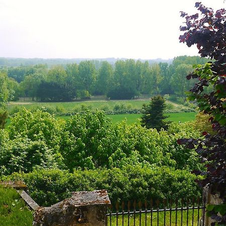 Gites Troglodytes Du Chateau De L'Etoile Vernou-sur-Brenne 외부 사진