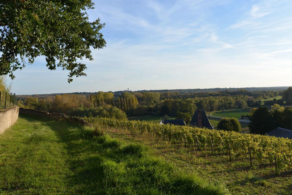 Gites Troglodytes Du Chateau De L'Etoile Vernou-sur-Brenne 객실 사진