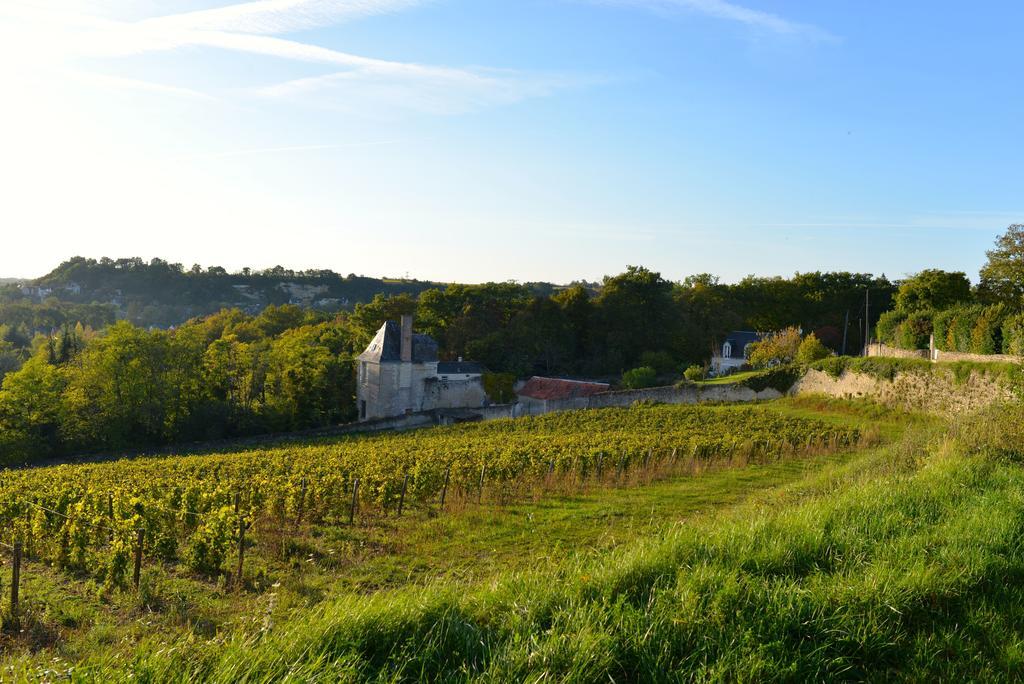 Gites Troglodytes Du Chateau De L'Etoile Vernou-sur-Brenne 객실 사진