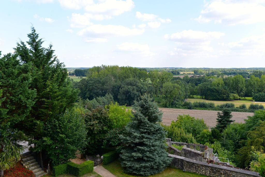 Gites Troglodytes Du Chateau De L'Etoile Vernou-sur-Brenne 객실 사진