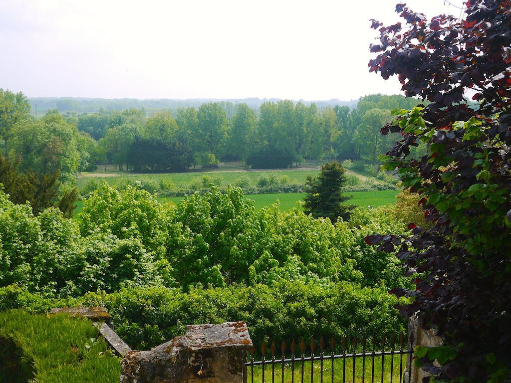 Gites Troglodytes Du Chateau De L'Etoile Vernou-sur-Brenne 외부 사진